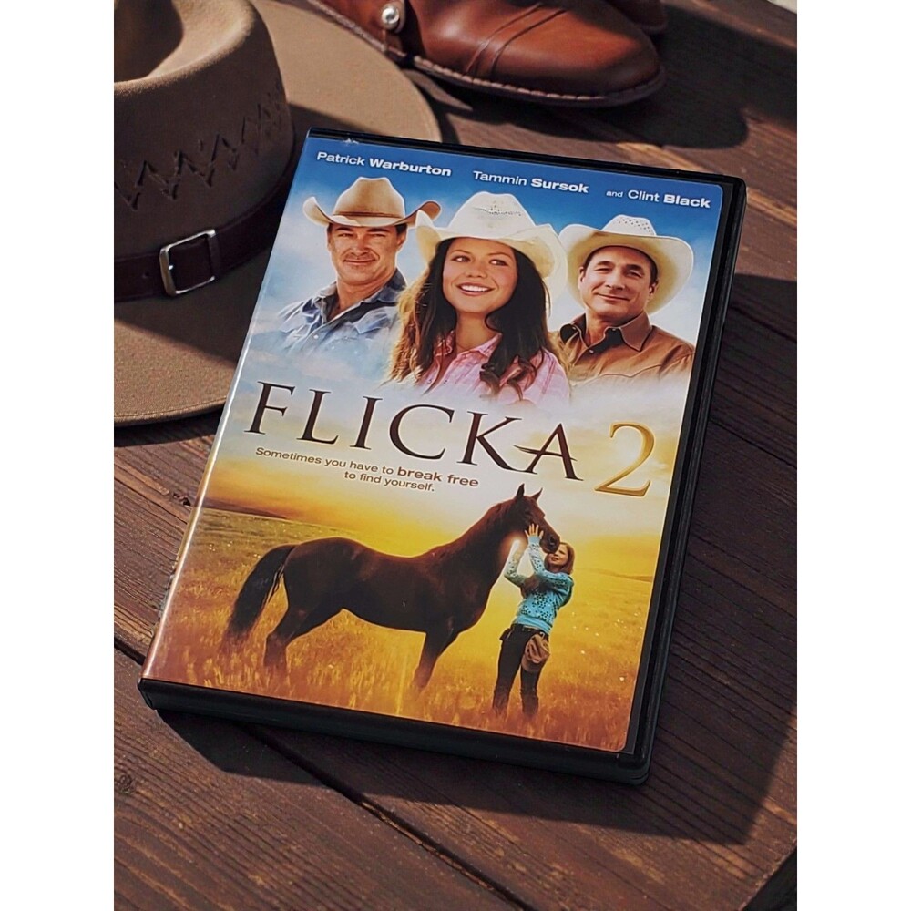 Flicka 2 DVD Movie Patrick Warburton Clint Black Horse Family Film Sequel